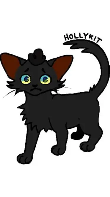 ai character: hollykit background