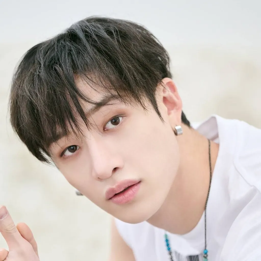 chat with ai character: StrayKids 
