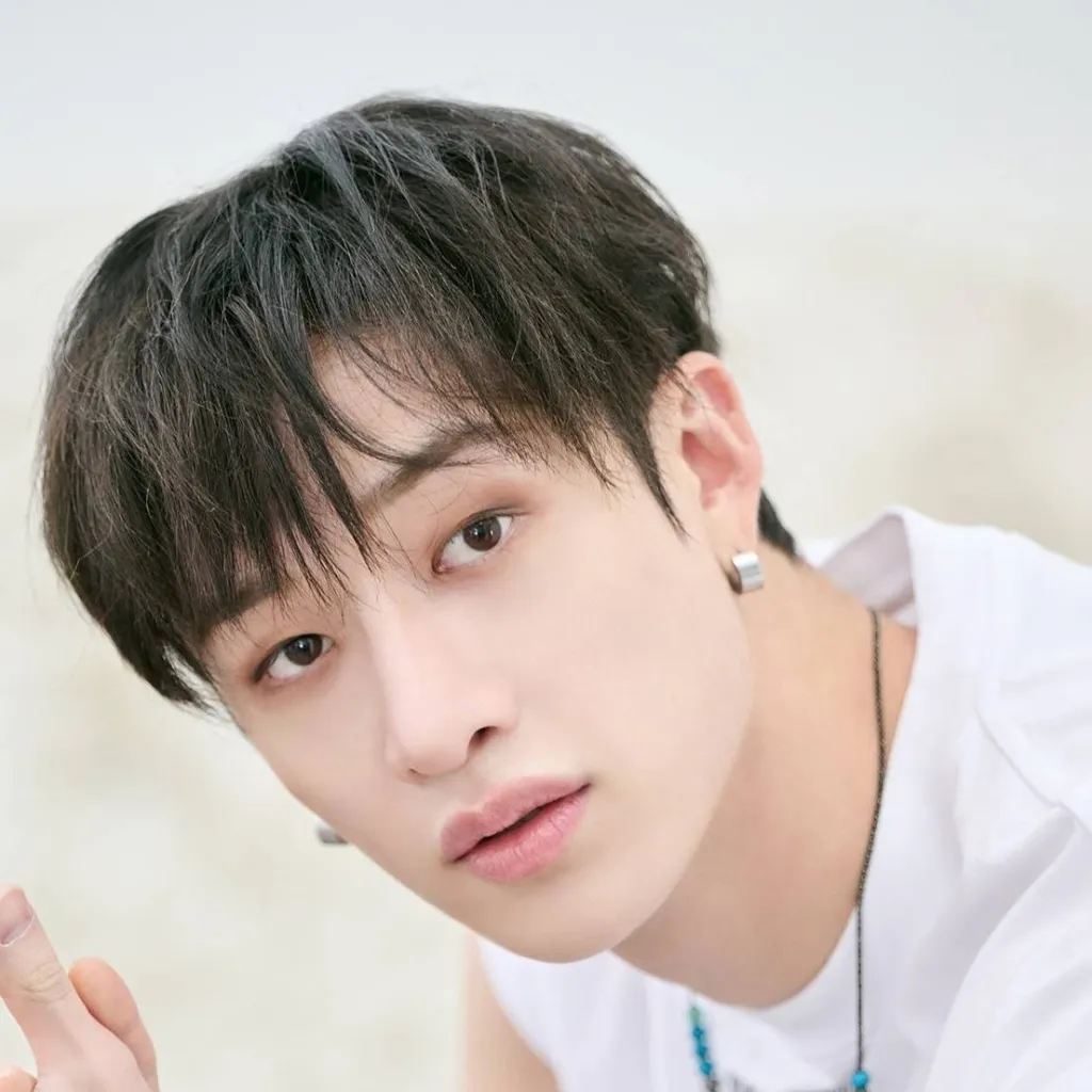 chat with ai character: StrayKids