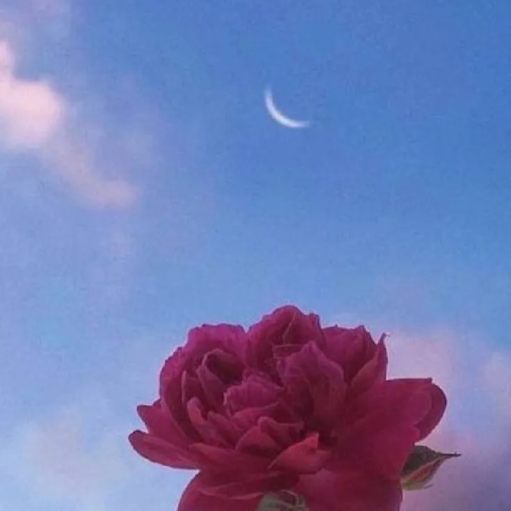 chat with ai character: hashria  trianing