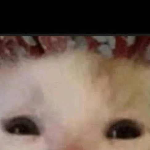 chat with ai character: posts