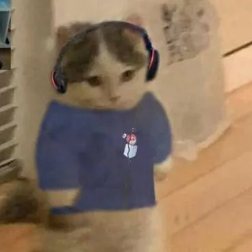 chat with ai character: Sparta gato?! :0