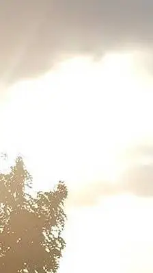 ai character: Soulvester. background