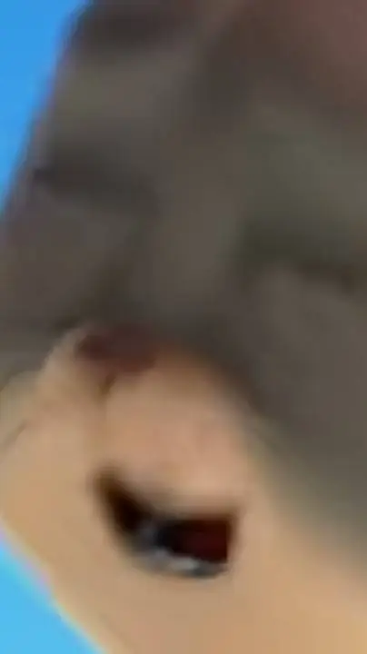 ai character: Dandy's World! background