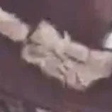 chat with ai character: Eunash/Nashia