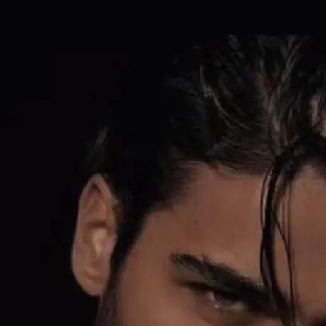 chat with ai character: verzi