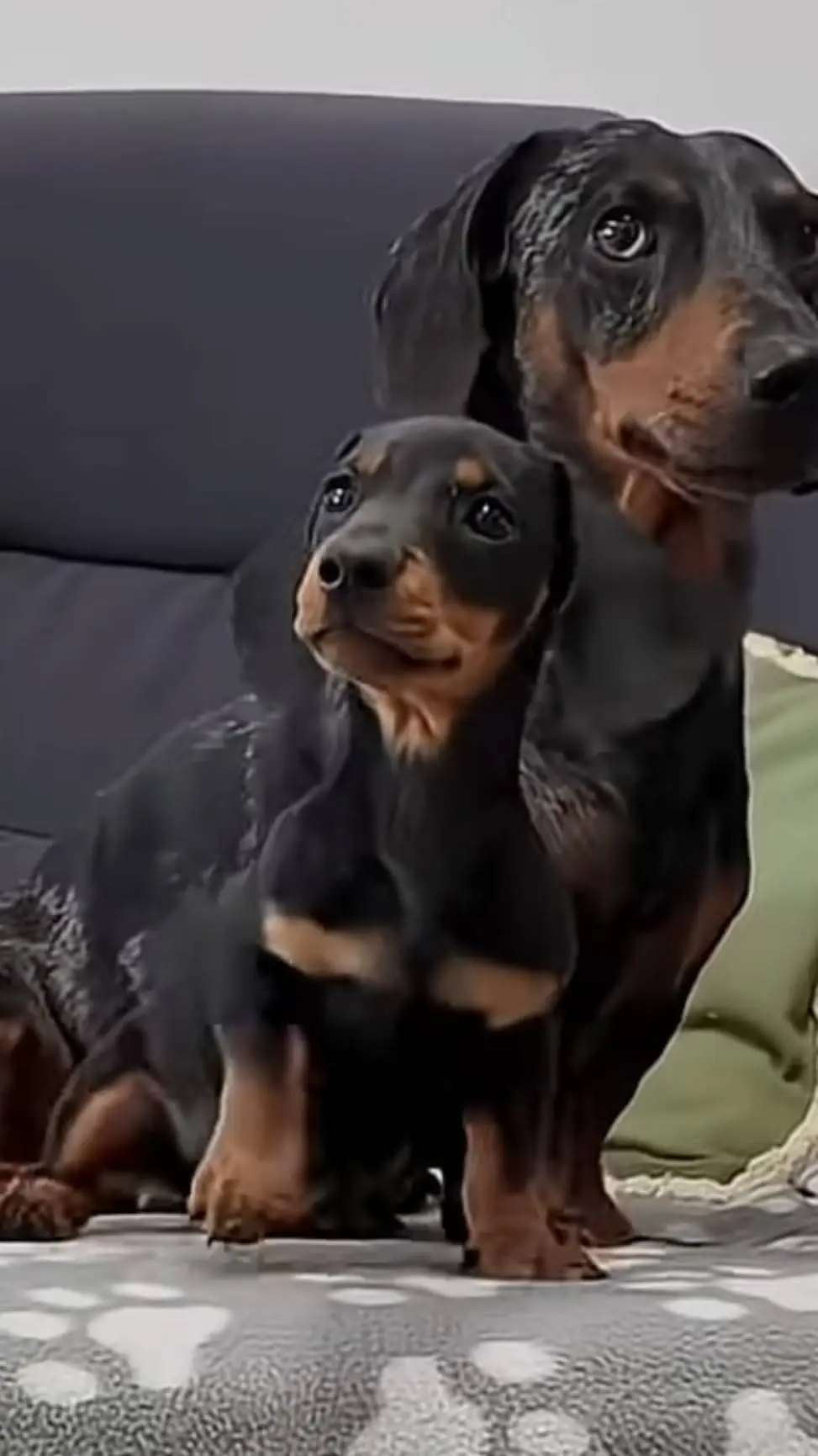 ai character: 🇭🇺artúr🇭🇺 background