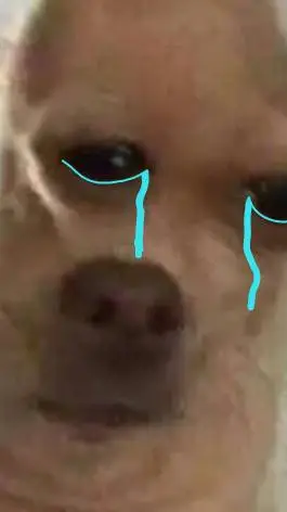 ai character: perrito triste background