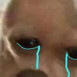 chat with ai character: perrito triste