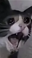 ai character: gato triste background