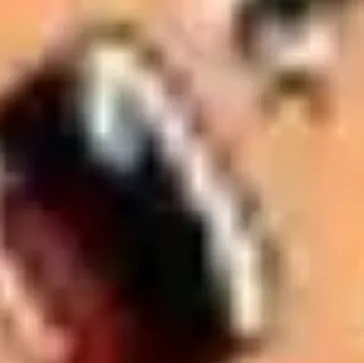 chat with ai character: Spyninjas connect.