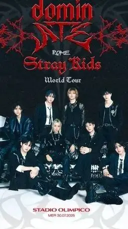 Talkie AI - Chat with Stray Kids 🩶