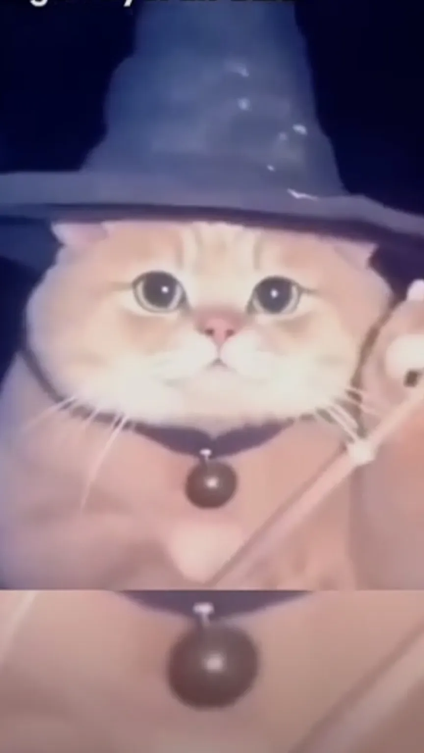 ai character: Wonder kitty background