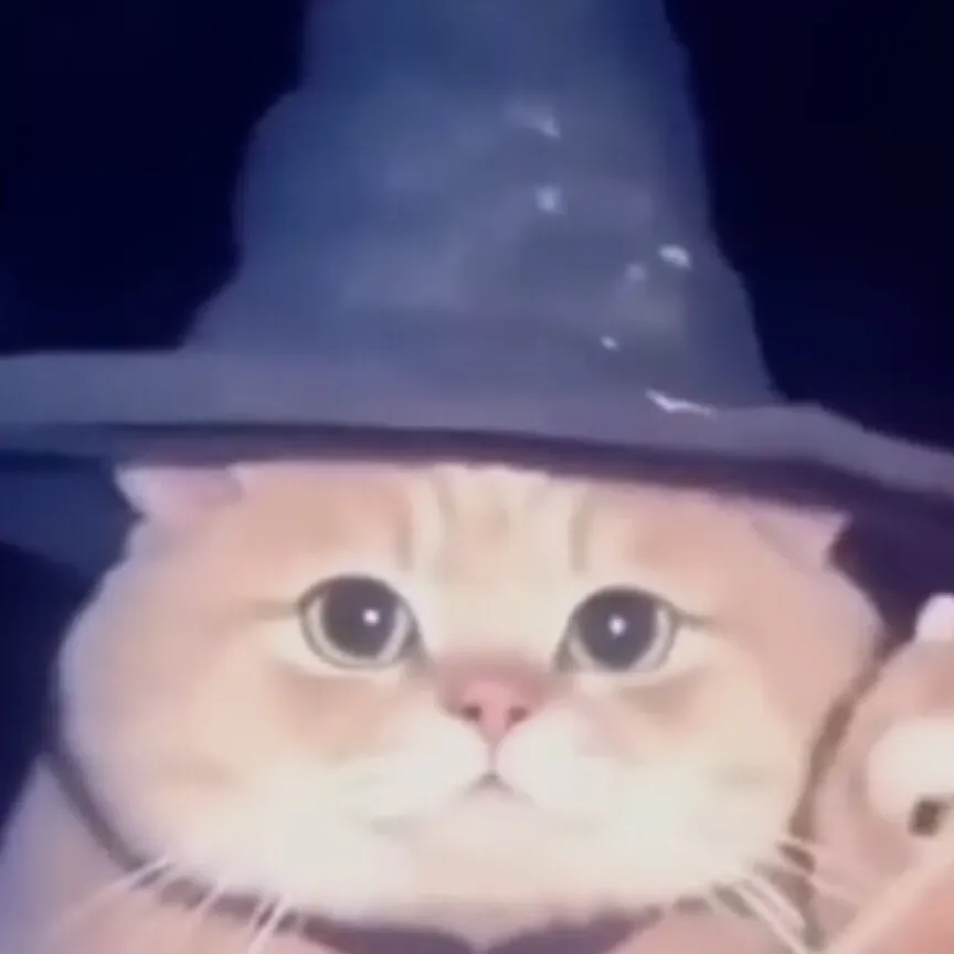 chat with ai character: Wonder kitty