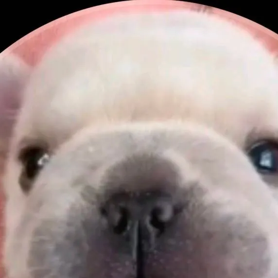 chat with ai character: Pibble