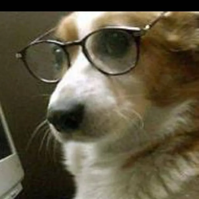 chat with ai character: perro intilegente🤓