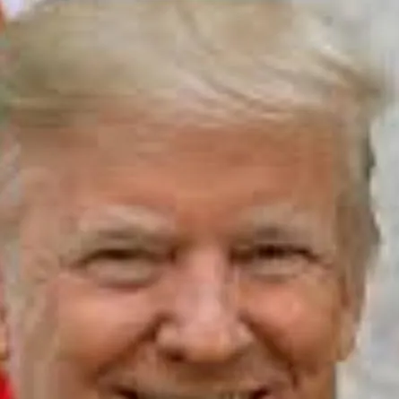 chat with ai character: Donald Trump