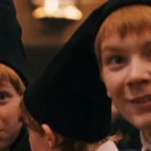 chat with ai character: Weasley twins 
