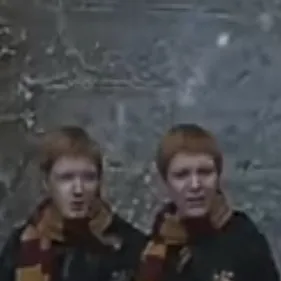 chat with ai character: Weasley twins