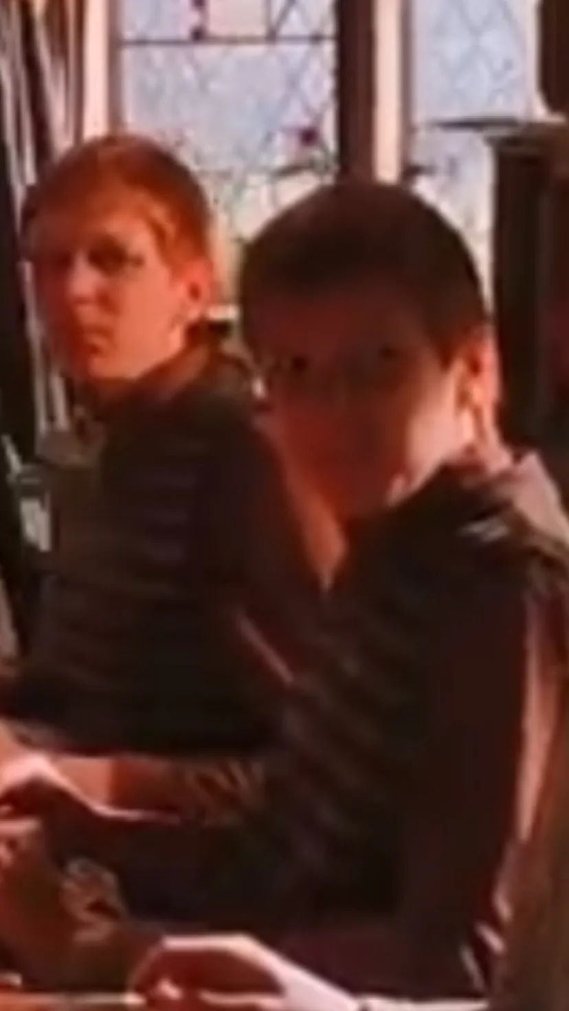 ai character: Weasley twins  background