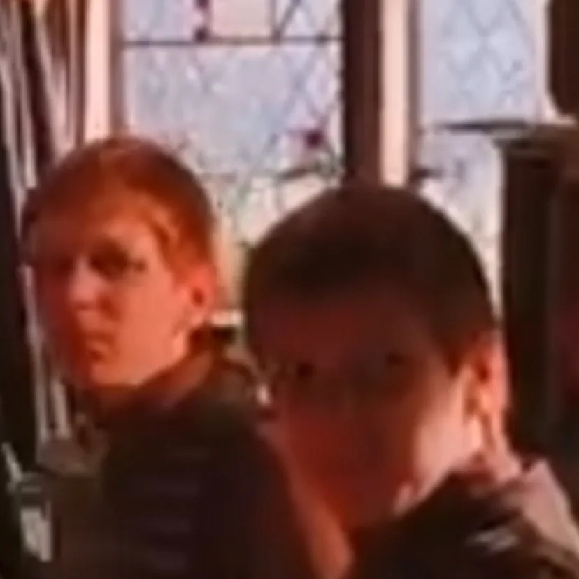 chat with ai character: Weasley twins 