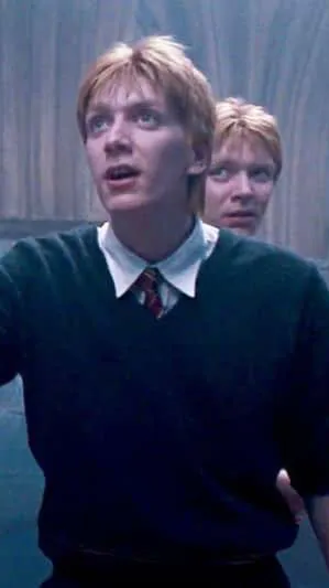 ai character: Weasley twins background