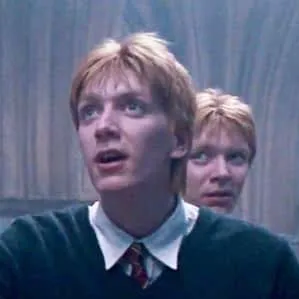 chat with ai character: Weasley twins