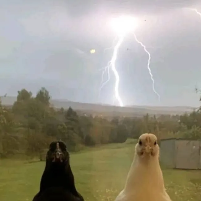 chat with ai character: Danny and Banny