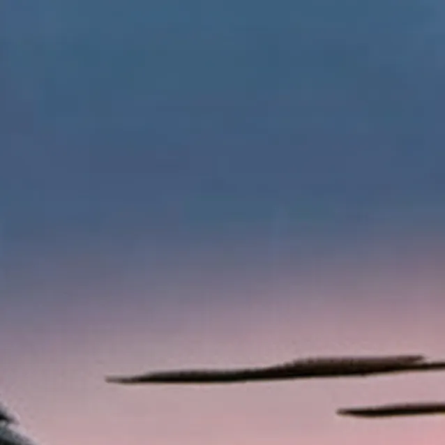 chat with ai character: elina