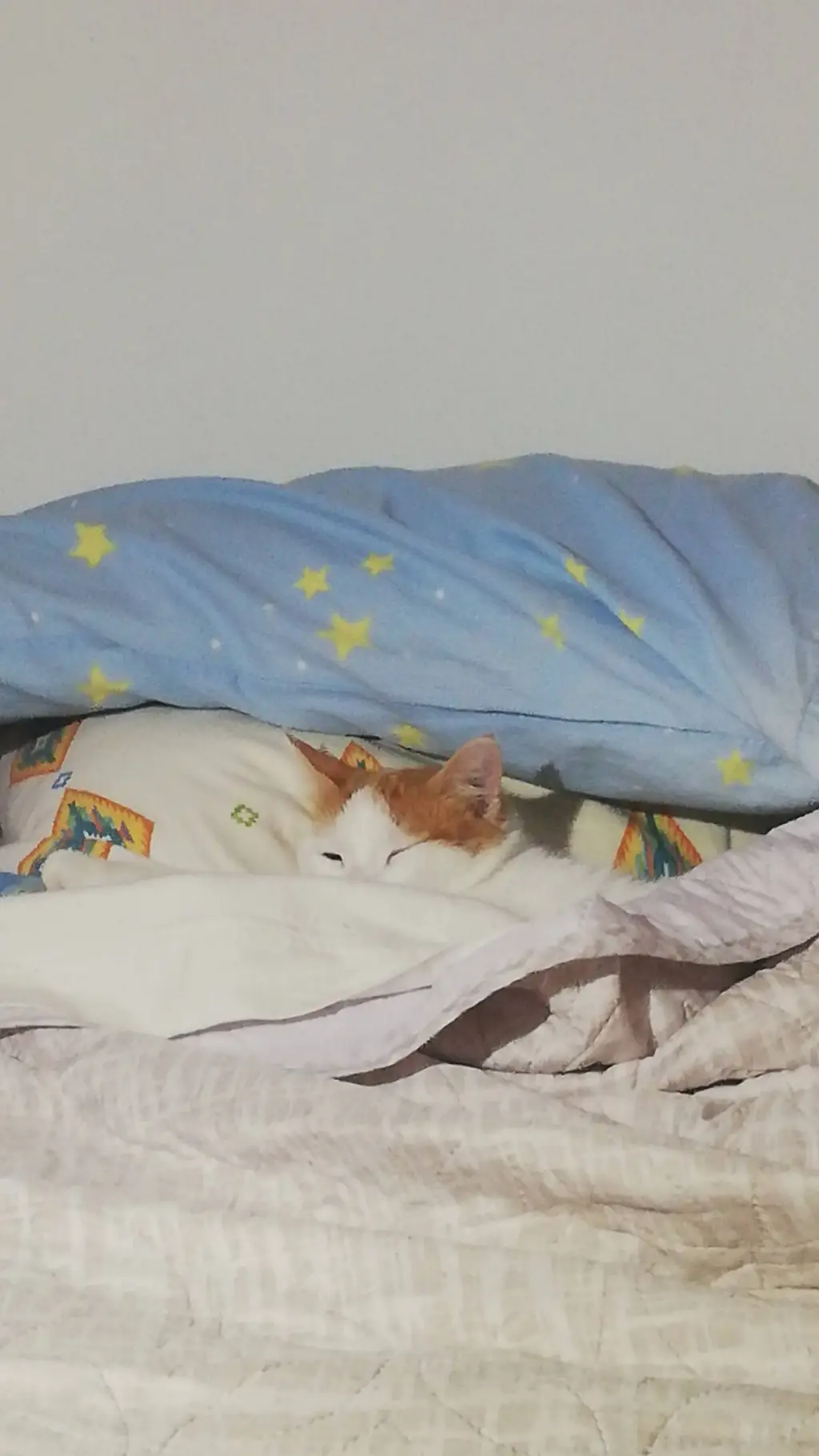 ai character: Moka. <3 background