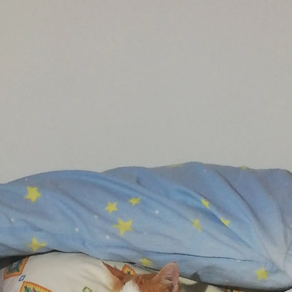 chat with ai character: Moka. <3