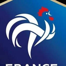 chat with ai character: selecção francesa 