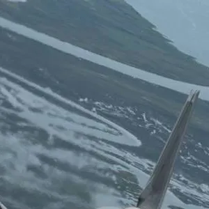 chat with ai character: F-22 Raptor 