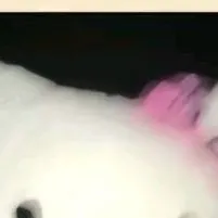 chat with ai character: Ella