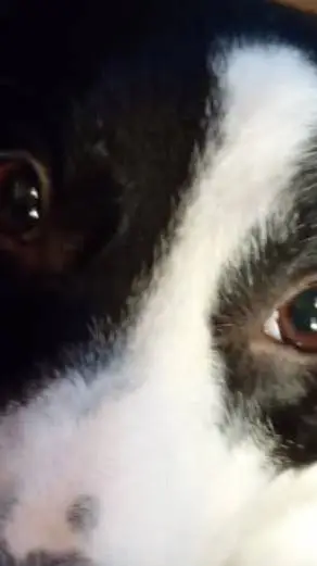 ai character: sky background