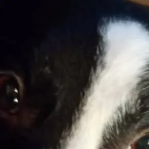 chat with ai character: sky