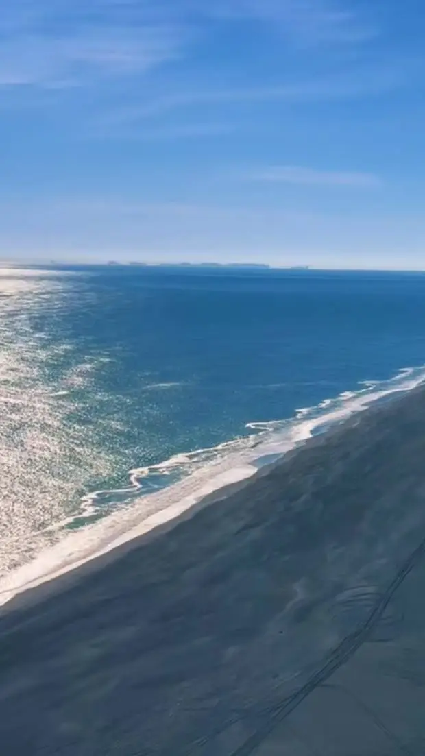 ai character: Ashley background