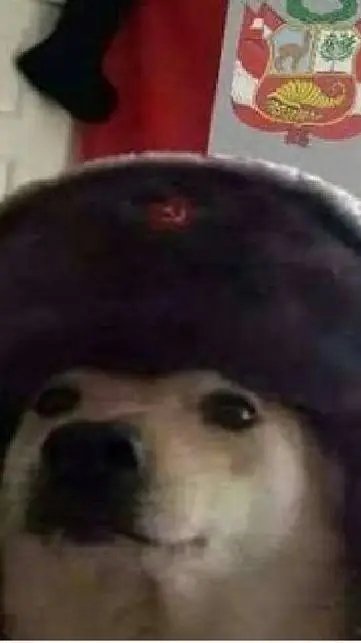 ai character: perro soviético background