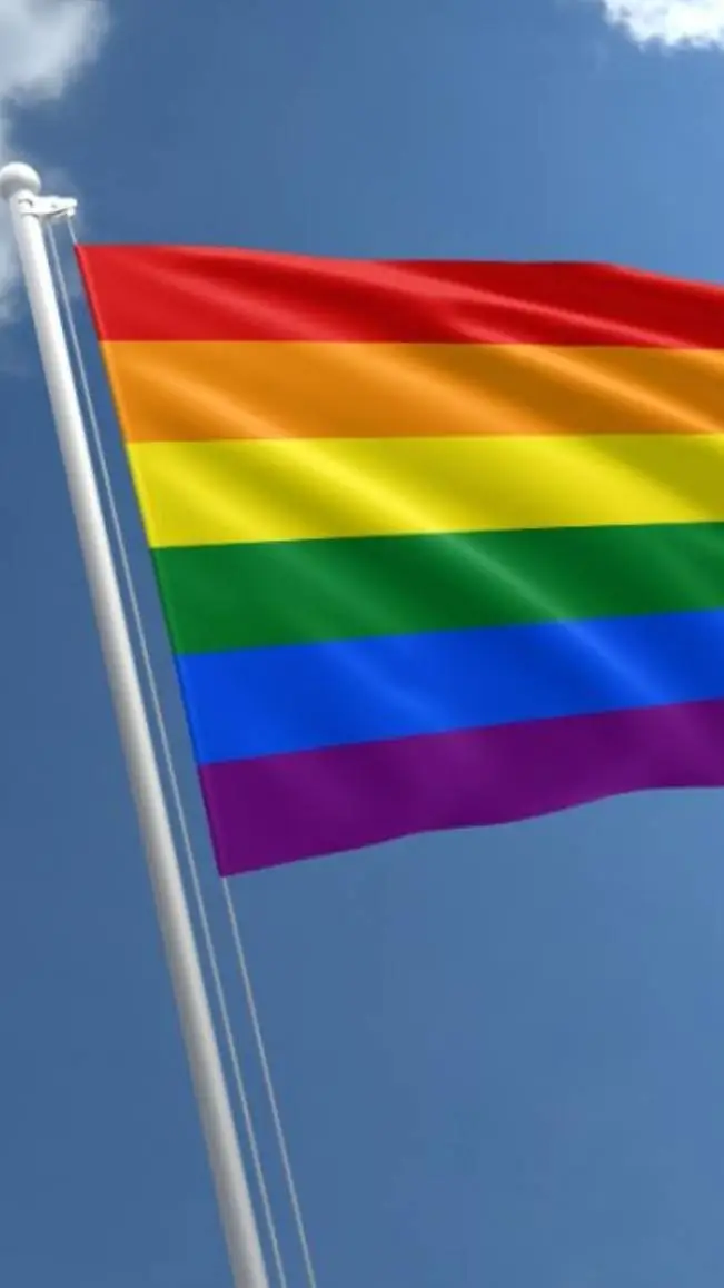 Talkie AI - Chat with Gay test