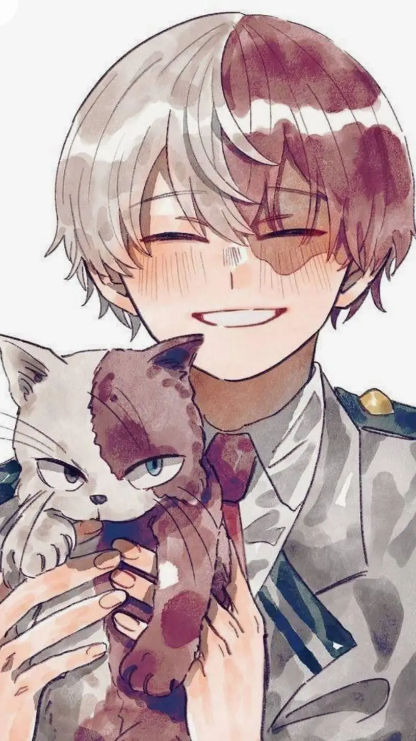 ai character: shoto todoroqui  background