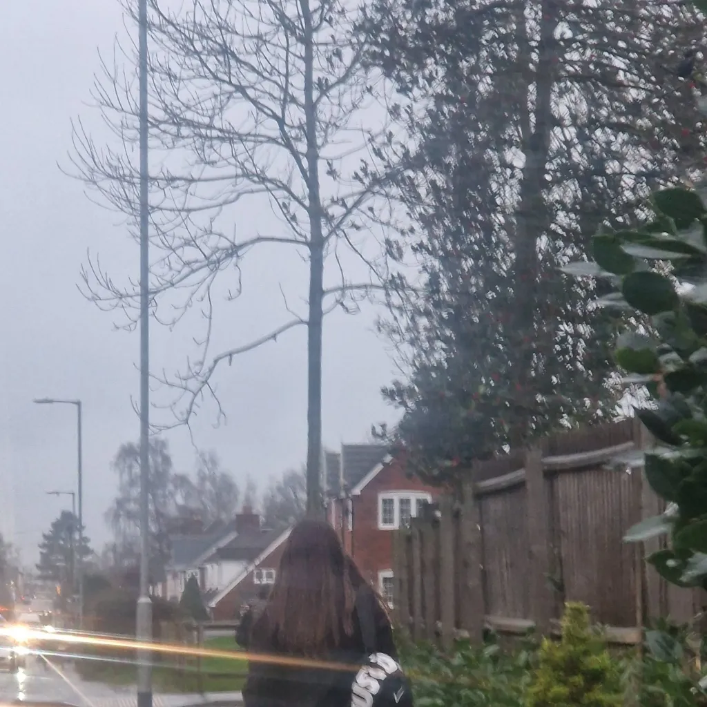 chat with ai character: elizabeth