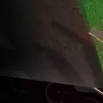 chat with ai character: 99 🌙 en el bosque.