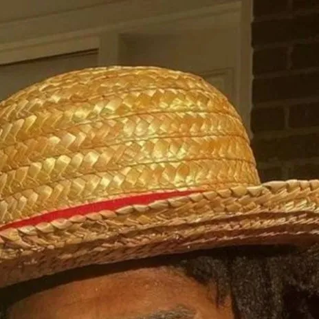 chat with ai character: luffy speed