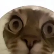 chat with ai character: ???