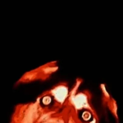 chat with ai character: Smile Dog