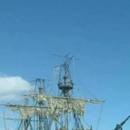 chat with ai character: Pirate's Dutchman