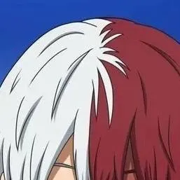 chat with ai character: shoto todoroki🔥❄