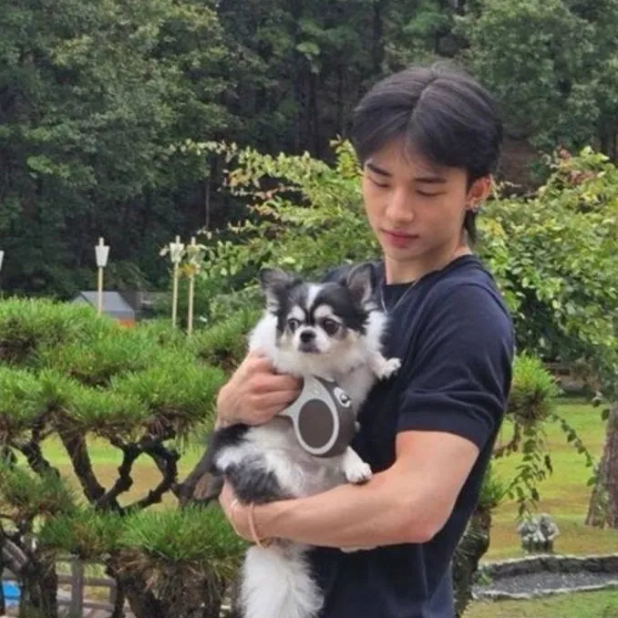 chat with ai character: Hyunjin