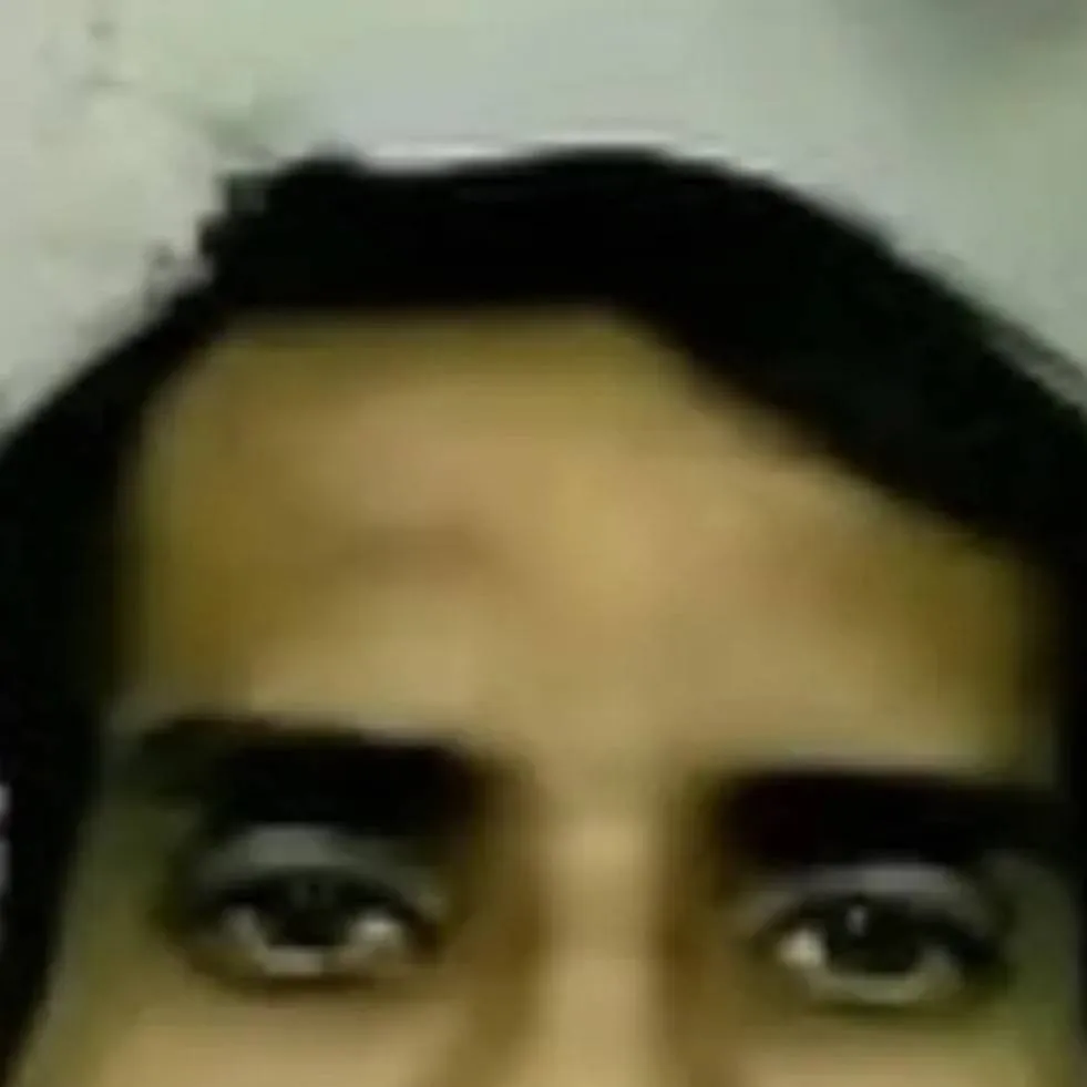 chat with ai character: amir