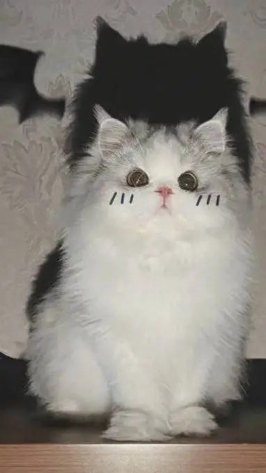 ai character: HWDYKM background